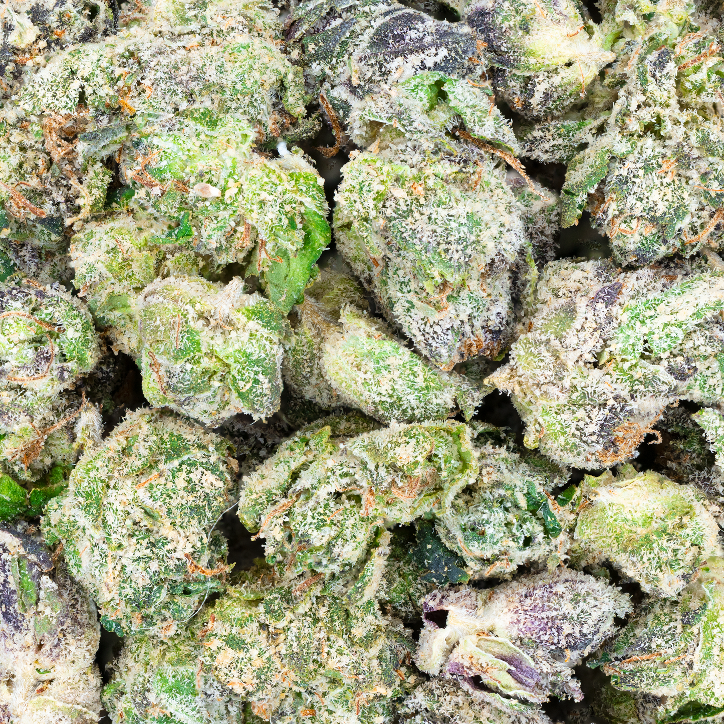 Bulk Super Exotic Smalls
