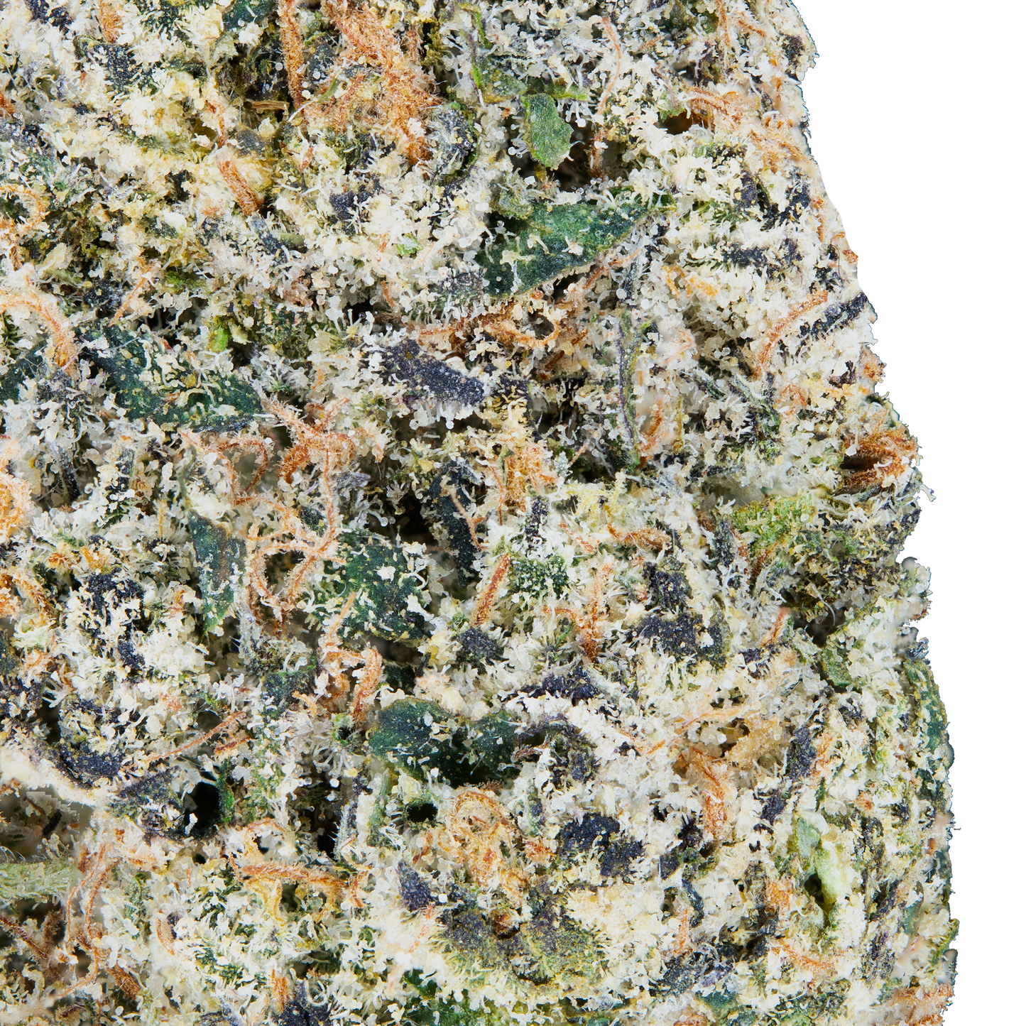 Exotic THCa Flower - Sativa