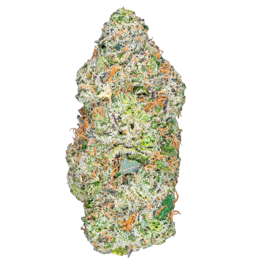 Lil Baby THC - Glockbuster
