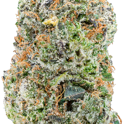 Lil Baby THC - Glockbuster