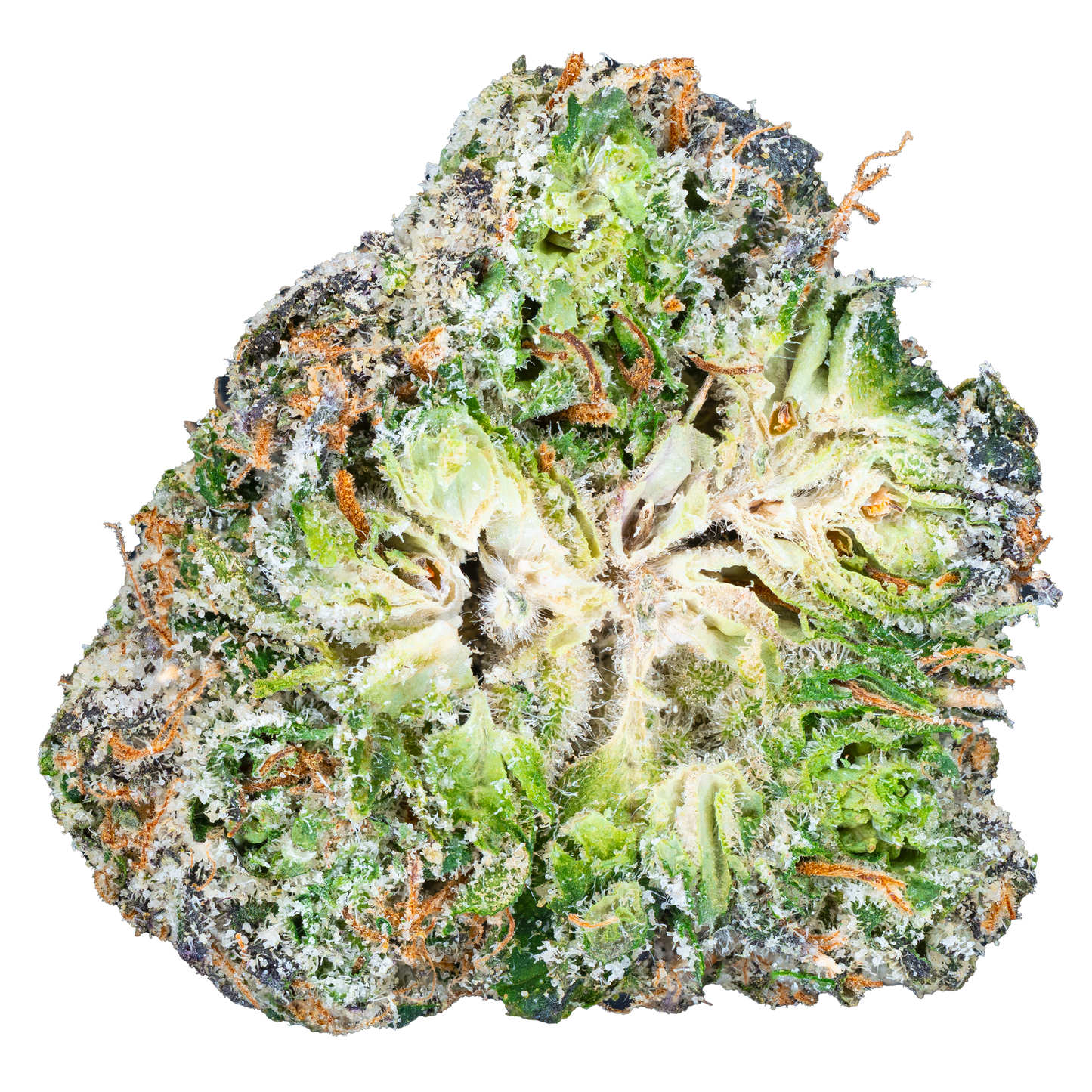 Lil Baby THC - Glockbuster