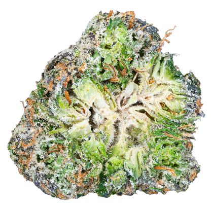 Lil Baby THC - Glockbuster