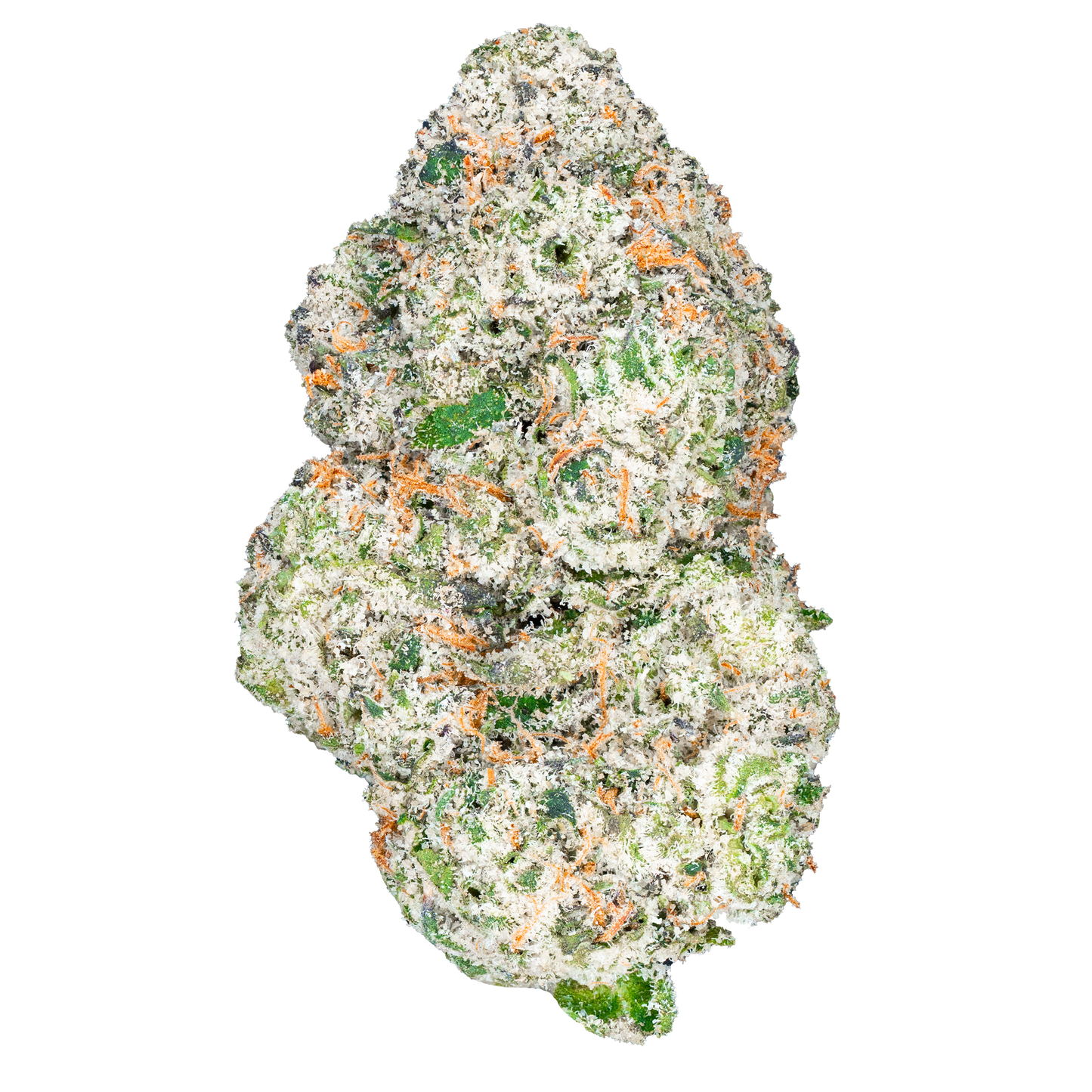 Bulk Exotic Flower