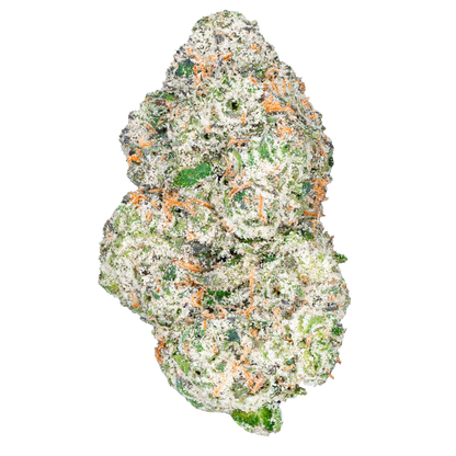 Bulk Exotic Flower