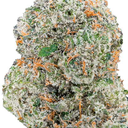 Bulk Exotic Flower