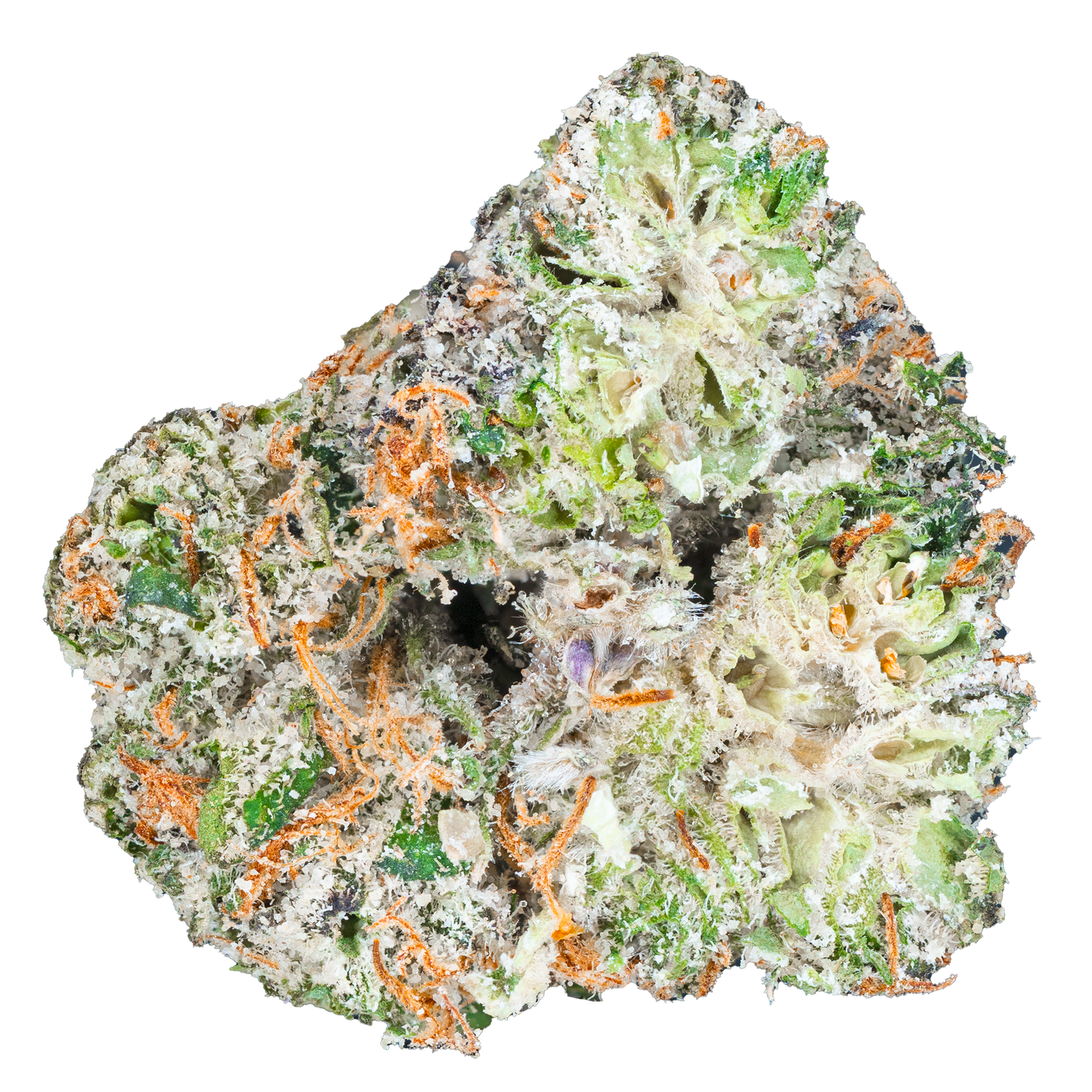 Bulk Exotic Flower