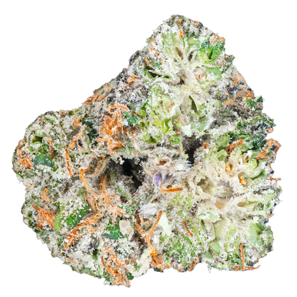 Bulk Exotic Flower