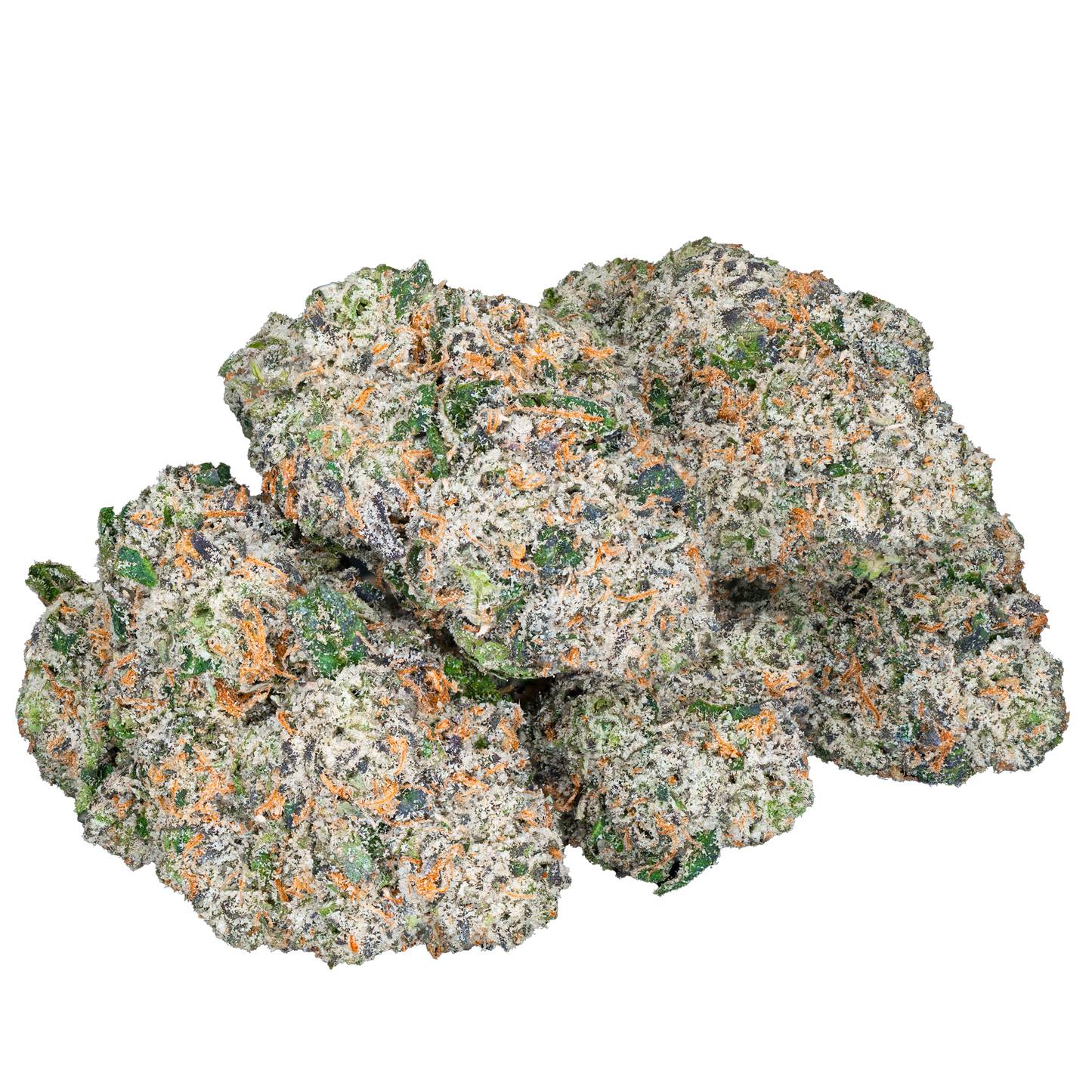 Bulk Exotic Flower