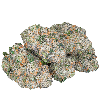 Bulk Exotic Flower