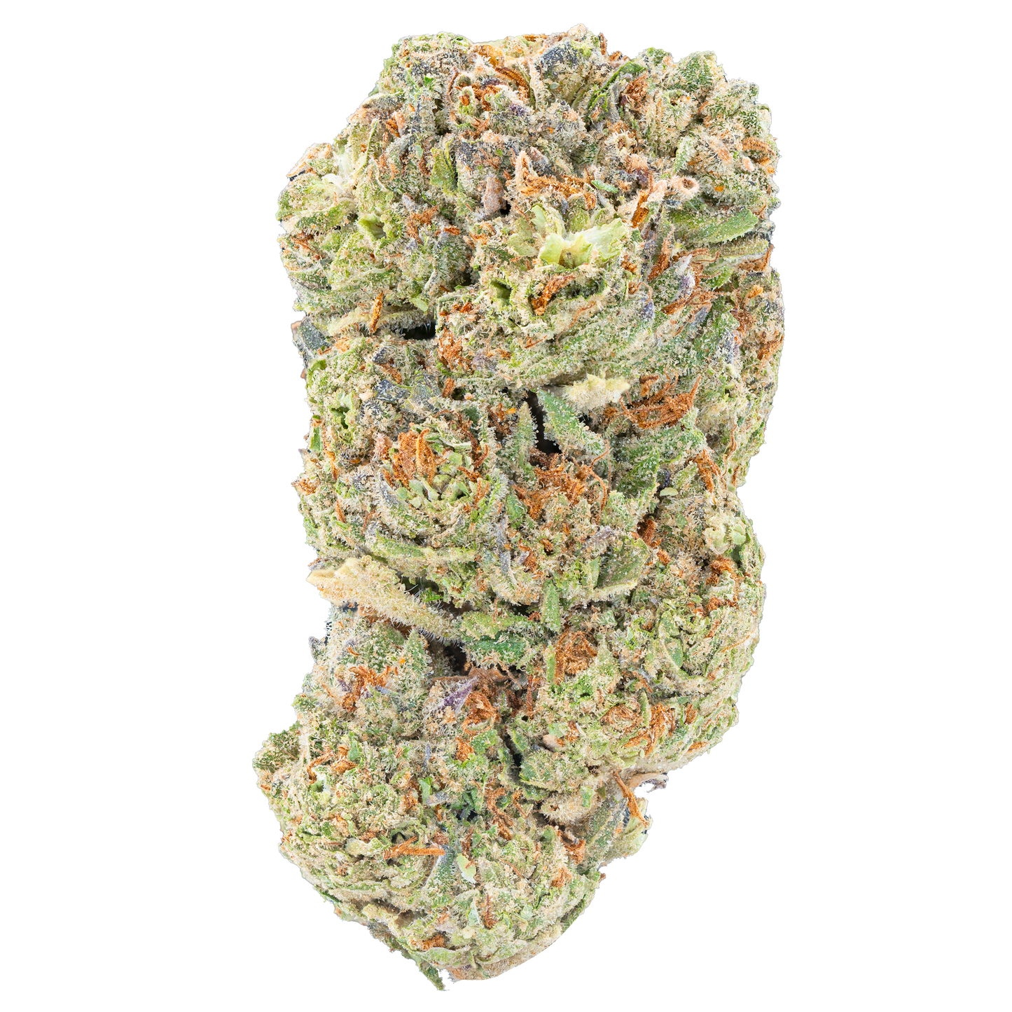 Bulk Discount Indoor Flower