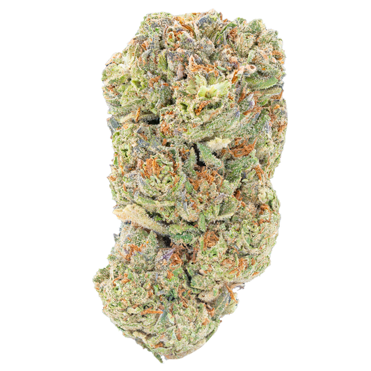 Bulk Discount Indoor Flower