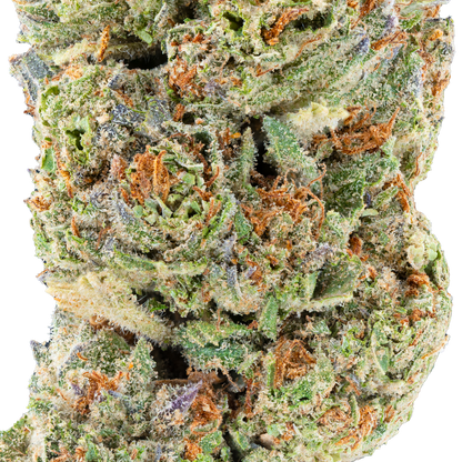 Bulk Discount Indoor Flower