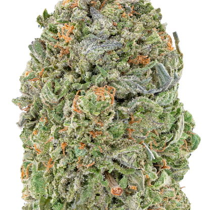 Bulk MixLight Flower