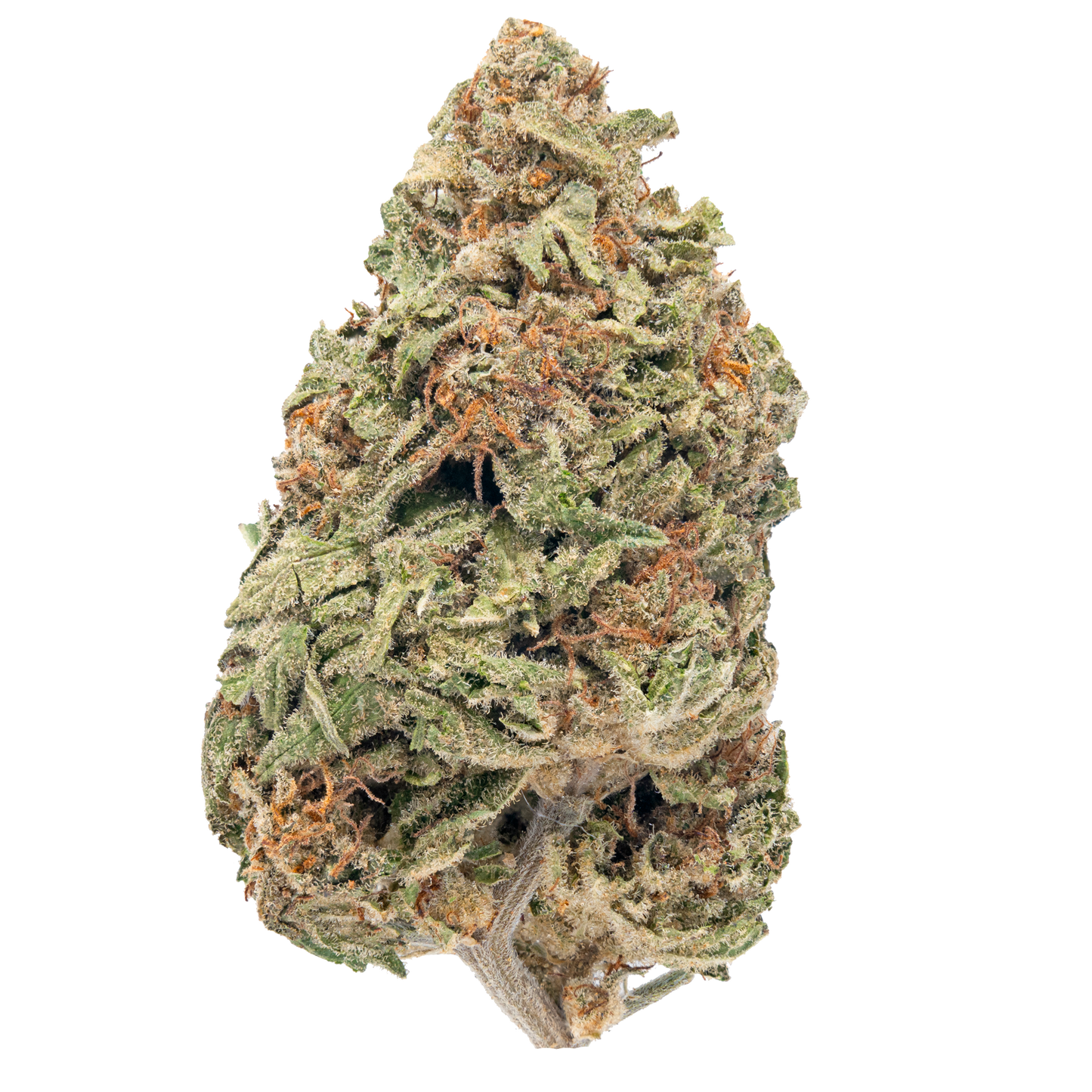 Indoor THCa Flower - Sativa