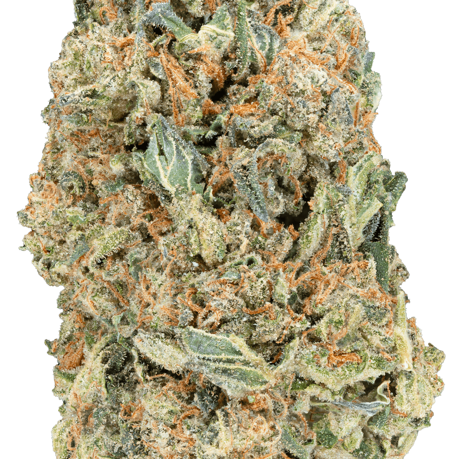 Greenhouse THCa Flower - Bay Smokes