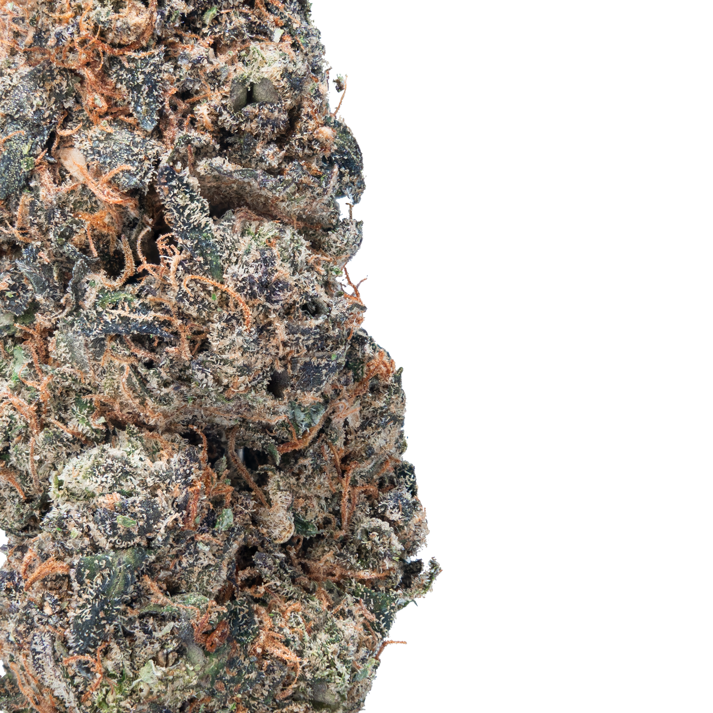 Hella Slumped - Exotic Smalls