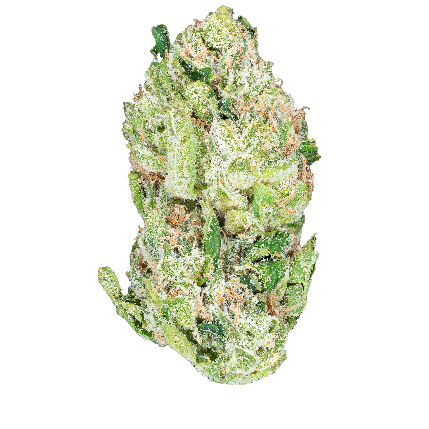 Bulk Indoor Flower