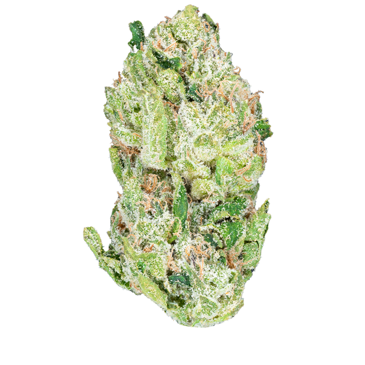 Bulk Indoor Flower