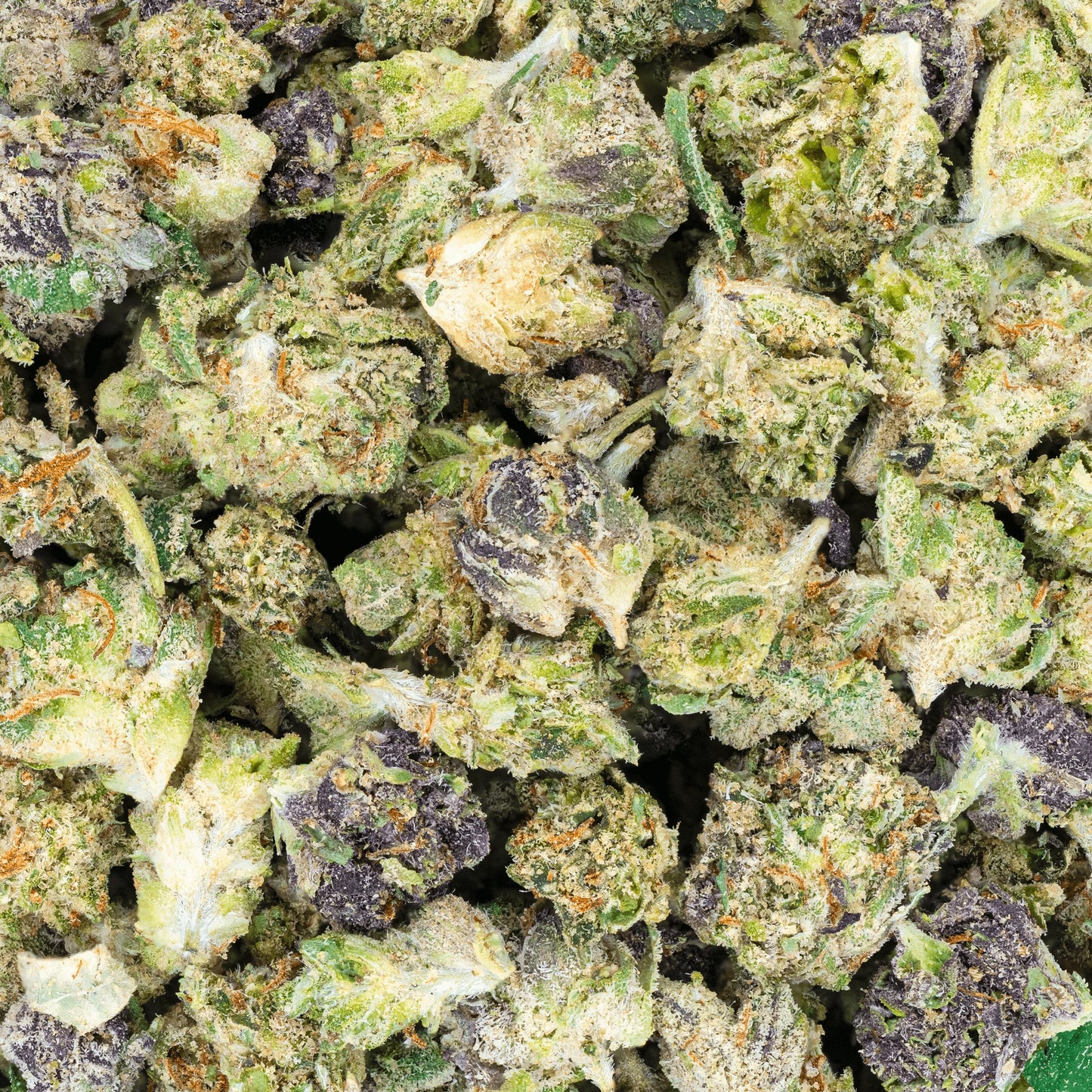 Bulk Indoor Micros