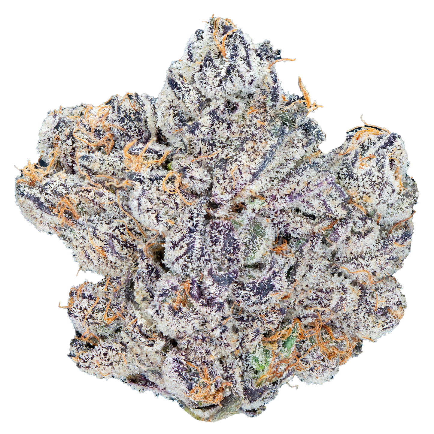 Bulk Super Exotic Flower