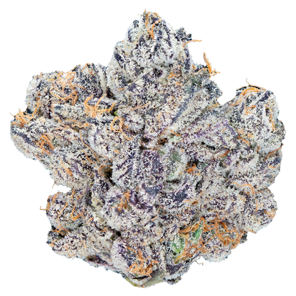 Bulk Super Exotic Flower