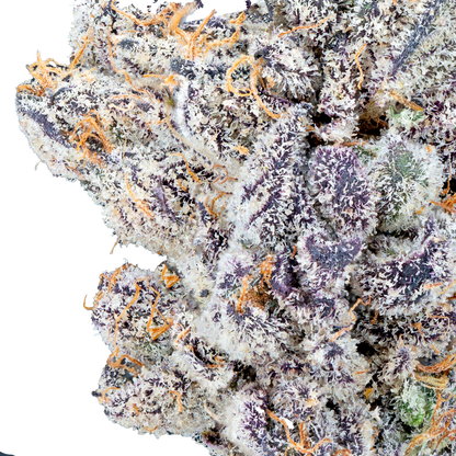 Bulk Super Exotic Flower