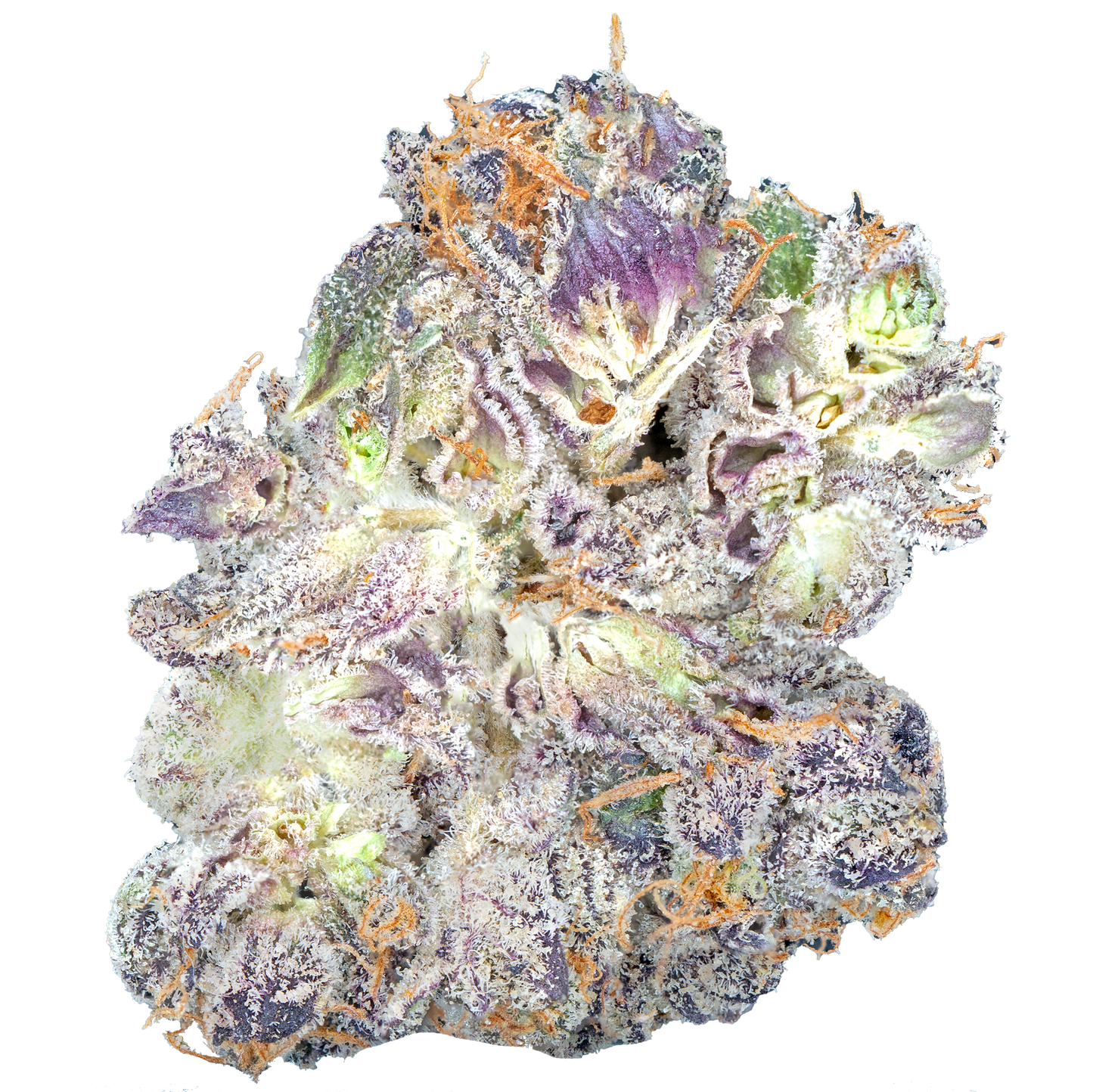 Bulk Super Exotic Flower