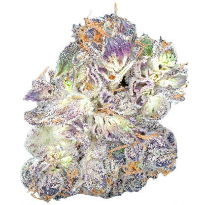 Bulk Super Exotic Flower