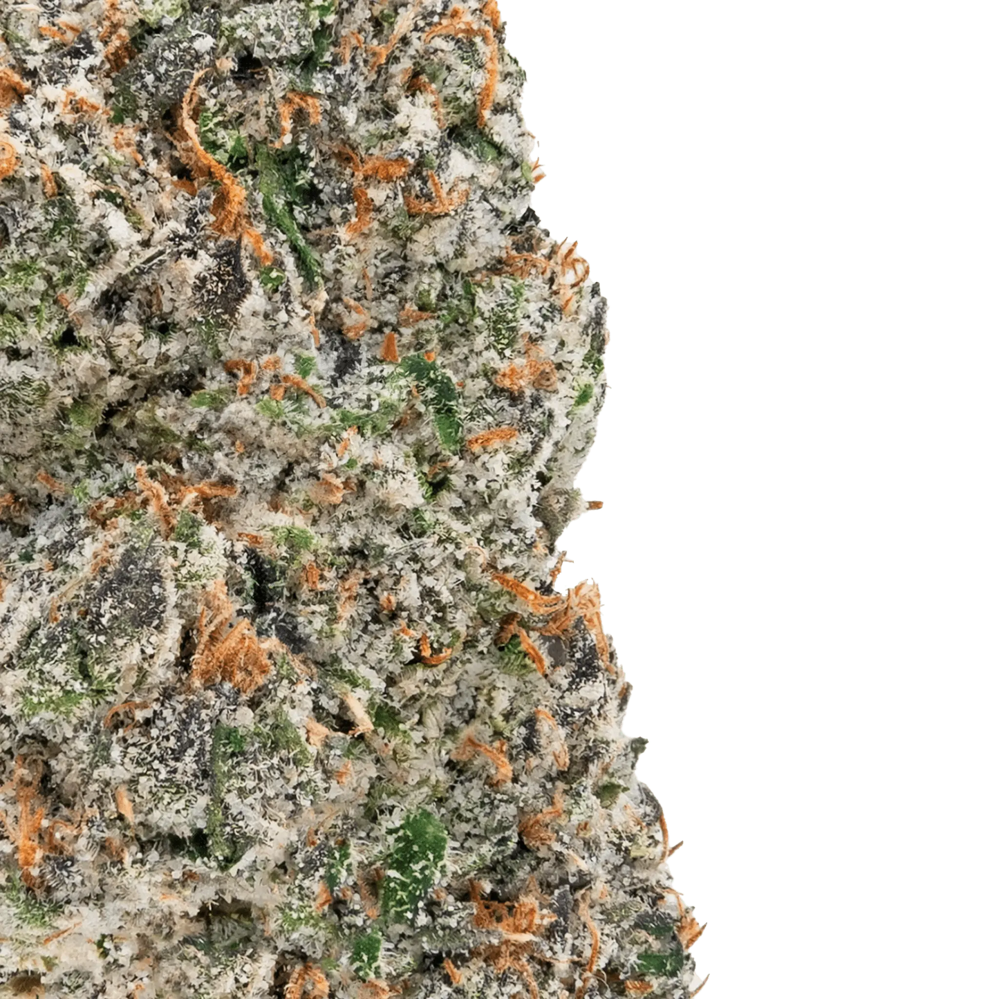 Snazzy Sesh - Exotic THCa Flower - Bay Smokes