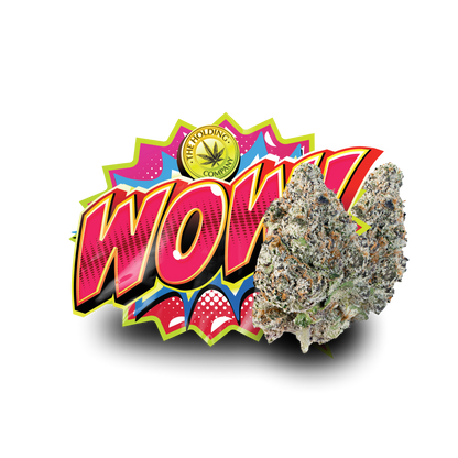 Lil Baby THC - Wow