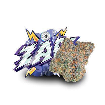 Lil Baby THC - Zap