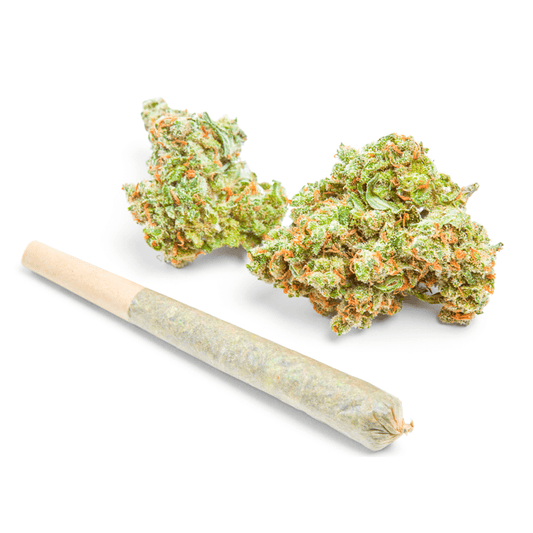 THCa Prerolls - 20 Pack