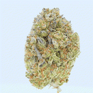 Vorpal Cherry Aurora THCa Flower Bay Smokes
