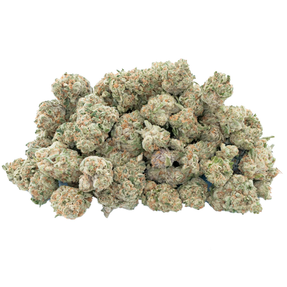 Playboi Carti Trimmest - Gelato 41