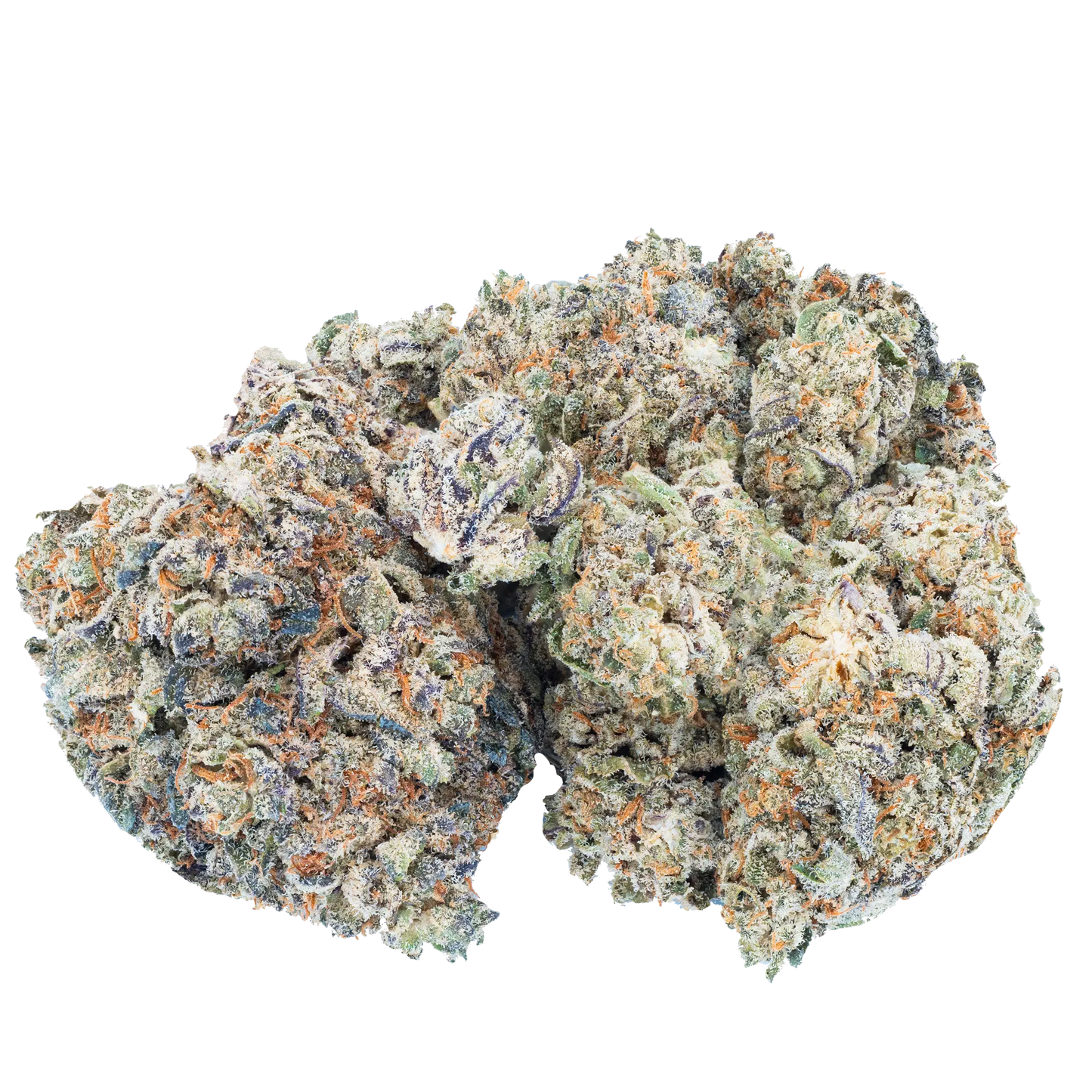 Playboi Carti Trimmest - Gelato 41