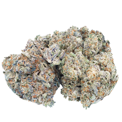 Playboi Carti Trimmest - Gelato 41