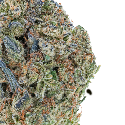 Vorpal Cherry Aurora THCa Flower Bay Smokes