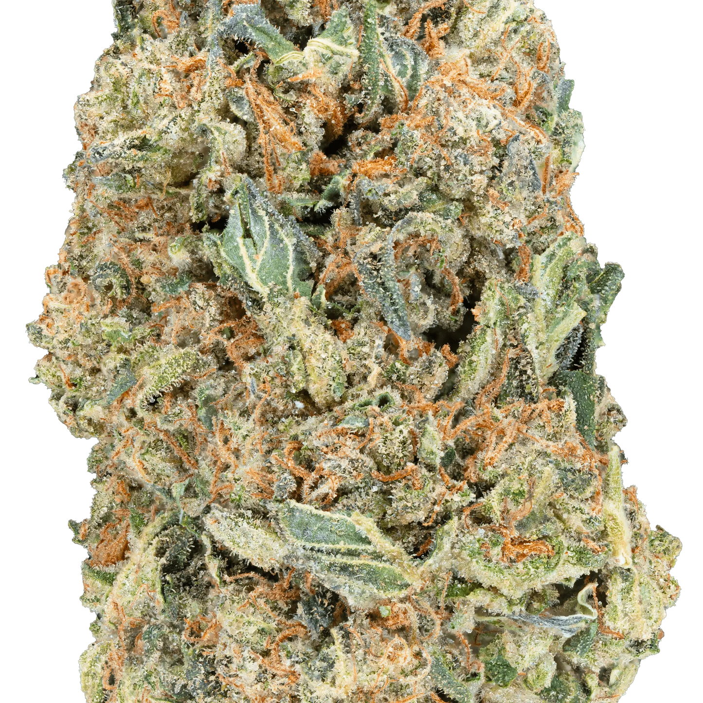 Greenhouse THCa Flower - Bay Smokes