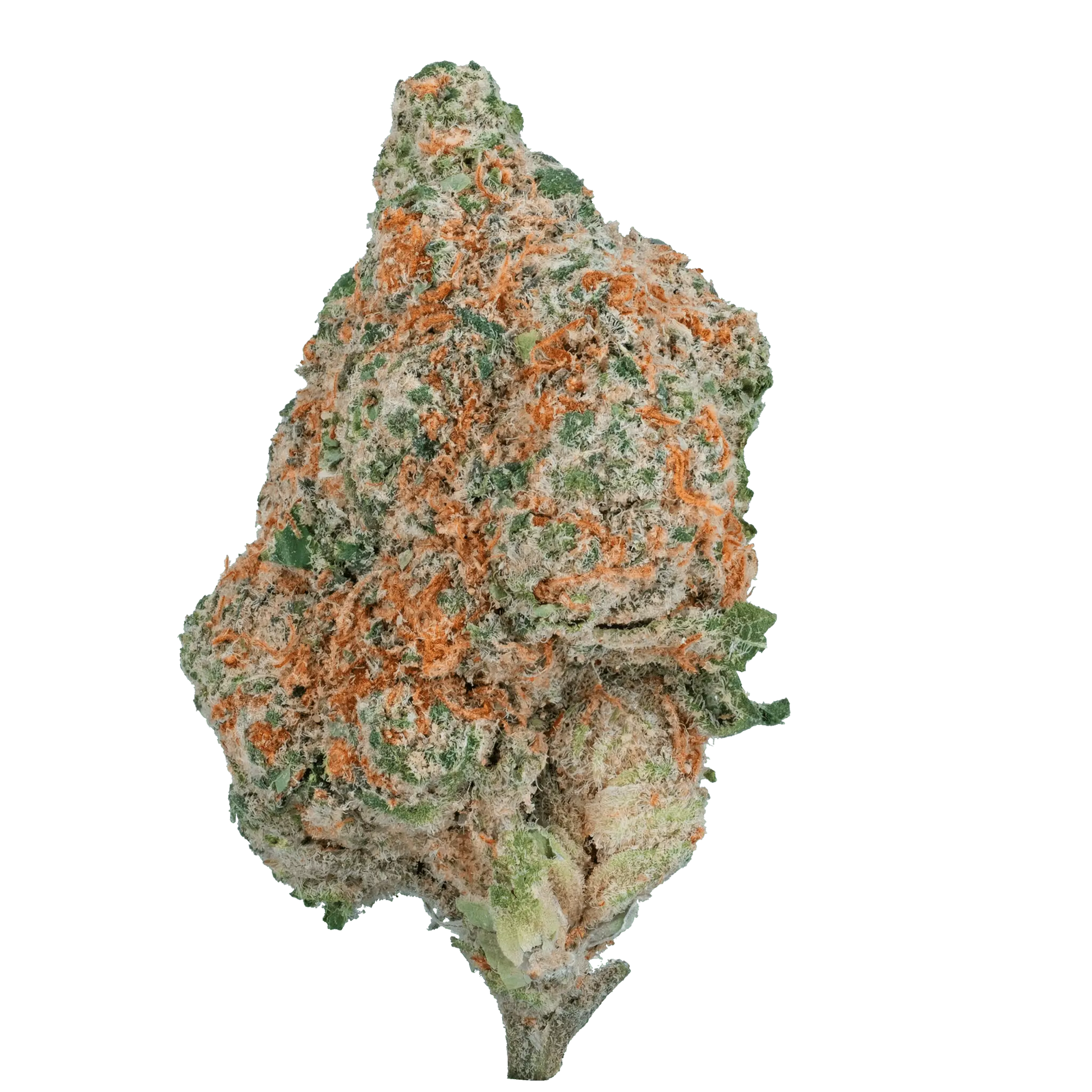 Only Gas - THCa Flower - Bay Smokes