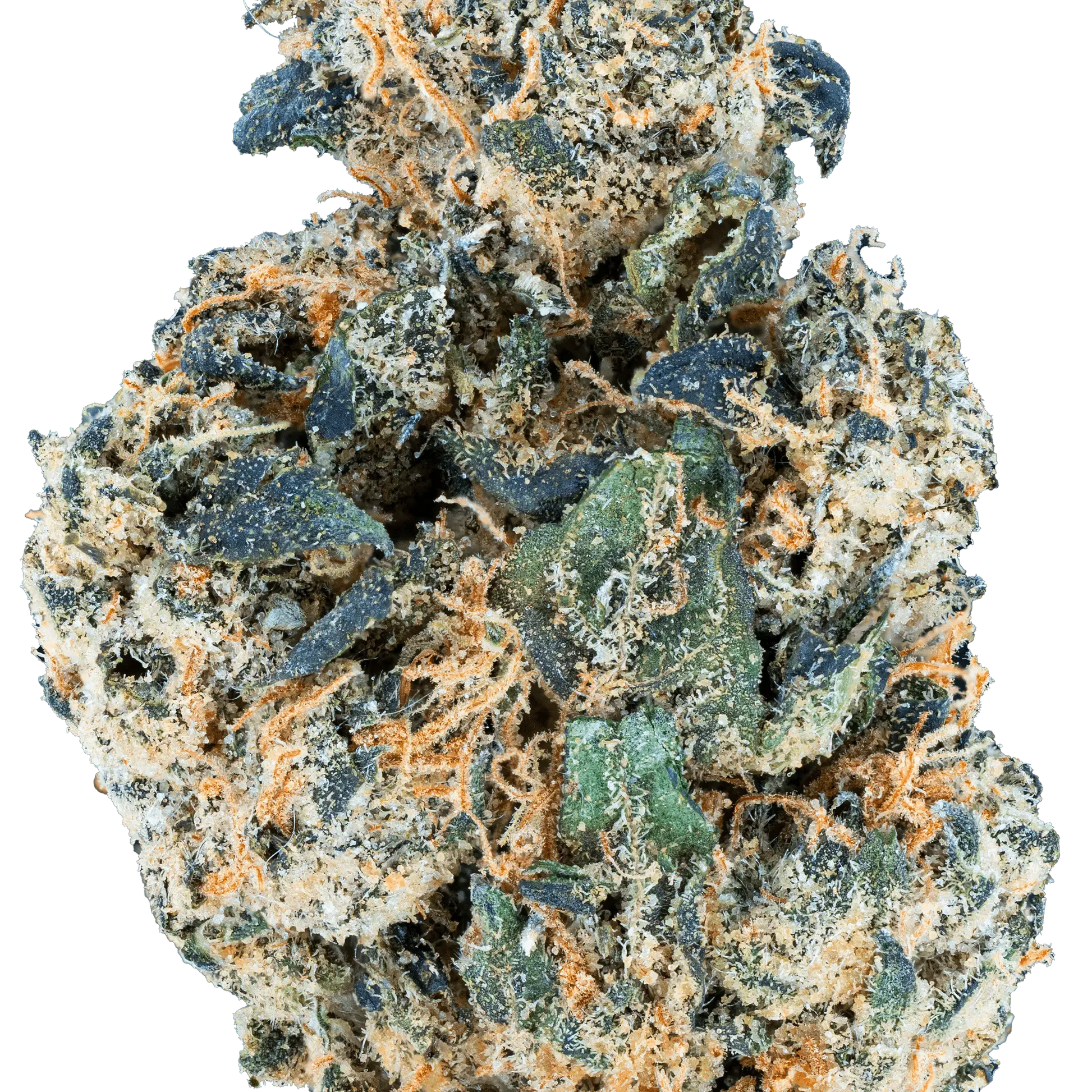 Bulk Mixlight Smalls - Bay Smokes