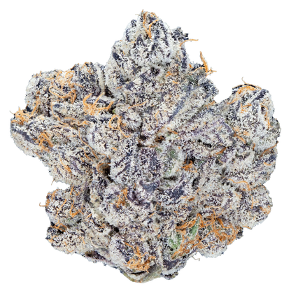 Playboi Carti Trimmest - Biscotti