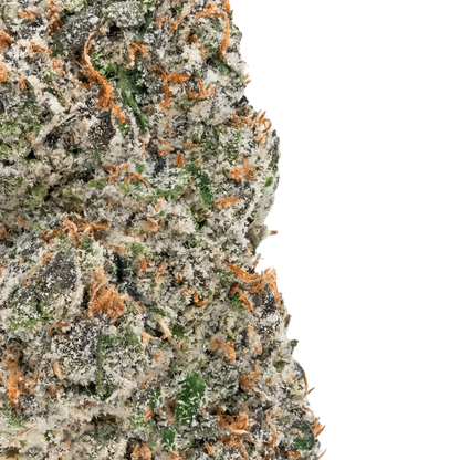 Snazzy Sesh - Exotic THCa Flower - Bay Smokes