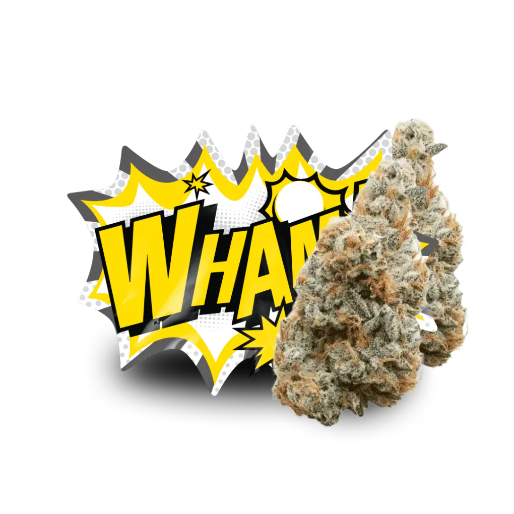 Lil Baby THC - Wham