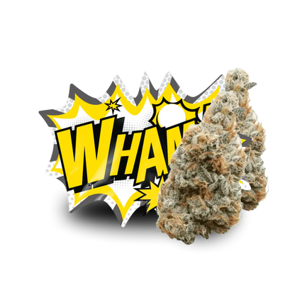 Lil Baby THC - Wham