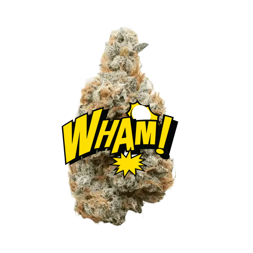 Lil Baby THC - Wham