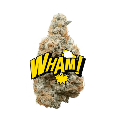 Lil Baby THC - Wham