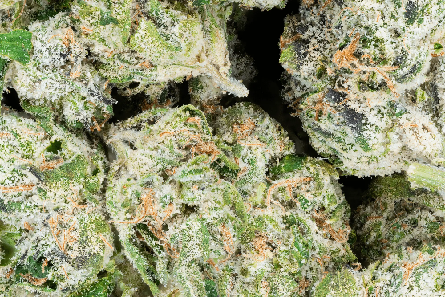 Hella Slumped - Exotic Smalls